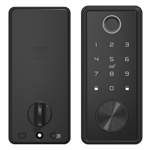 Black color dead bolt smart lock